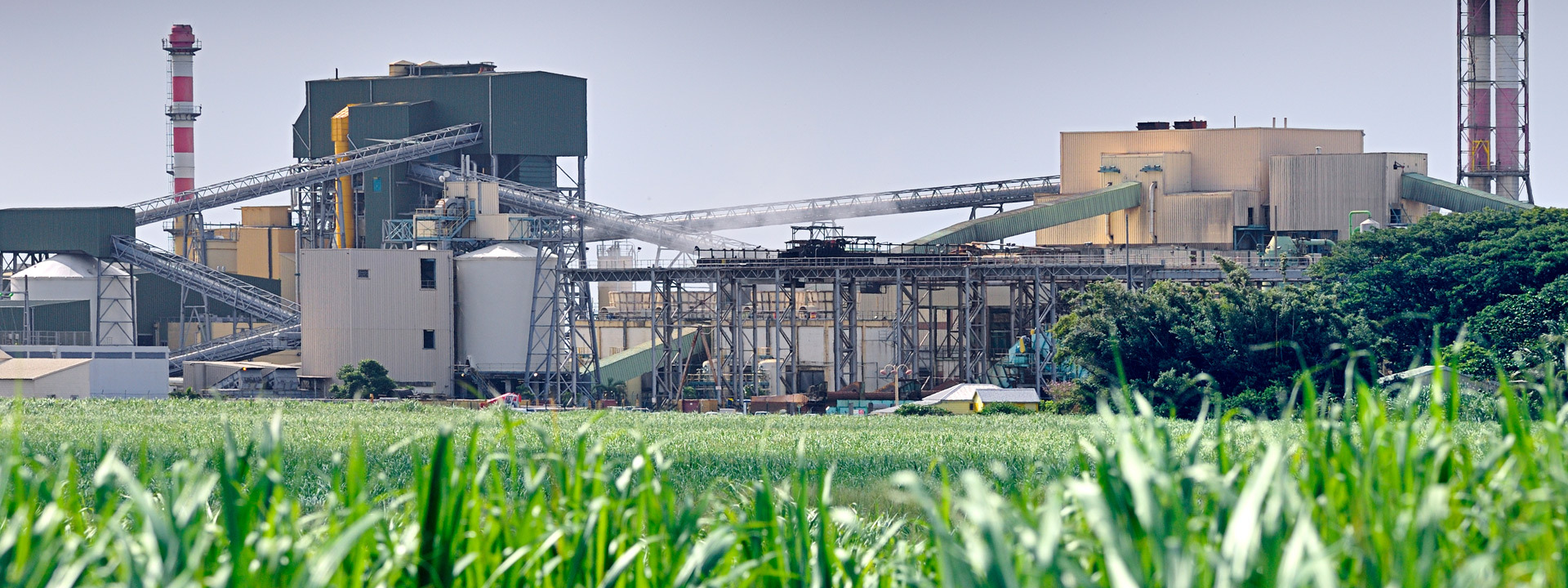 At the Intersection of Asset Management and ESG